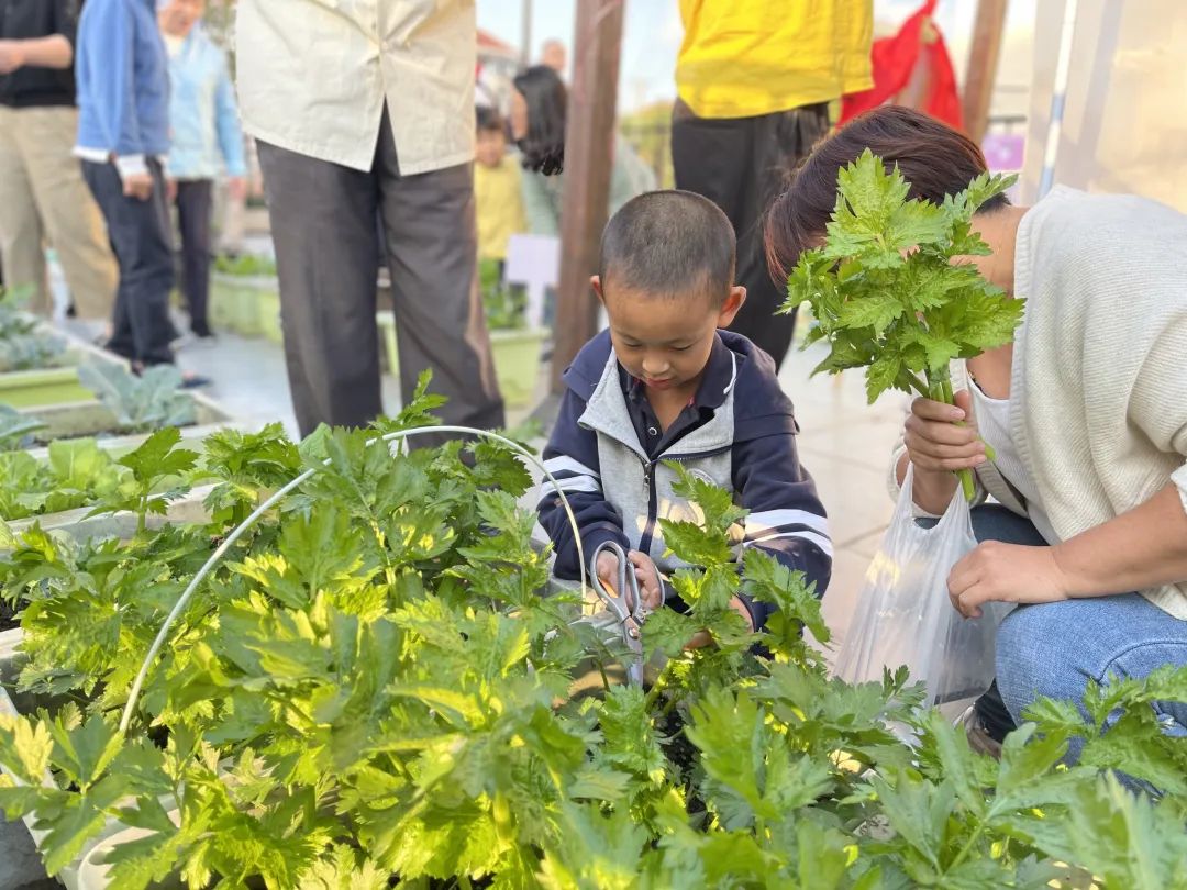 1116_140239_175.jpg 1116_140239_175.jpg