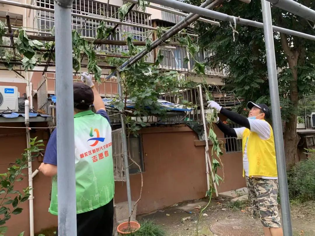 1116_140014_651.jpg 1116_140014_651.jpg