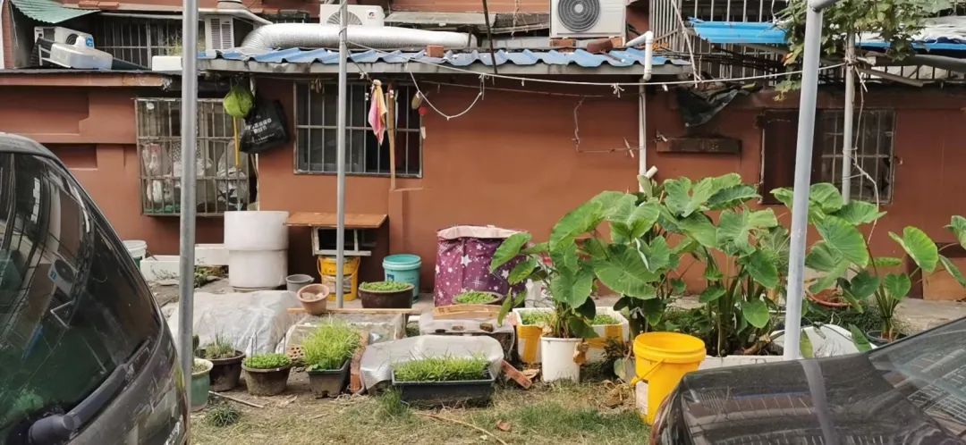 1116_140002_868.jpg 1116_140002_868.jpg